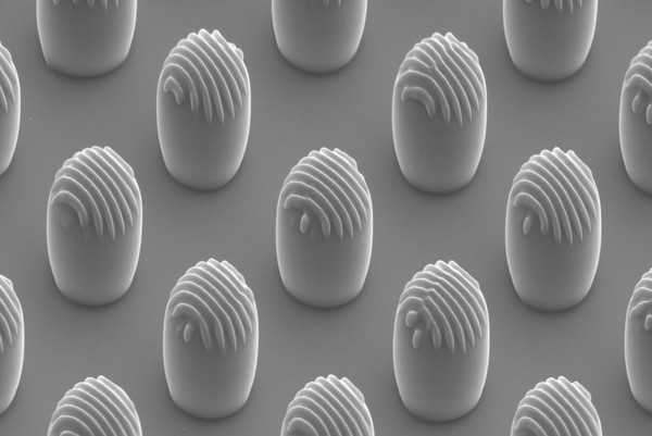 The figure shows hierarchical micro- and submicrostructures produced by combining photolithography and laser structuring.