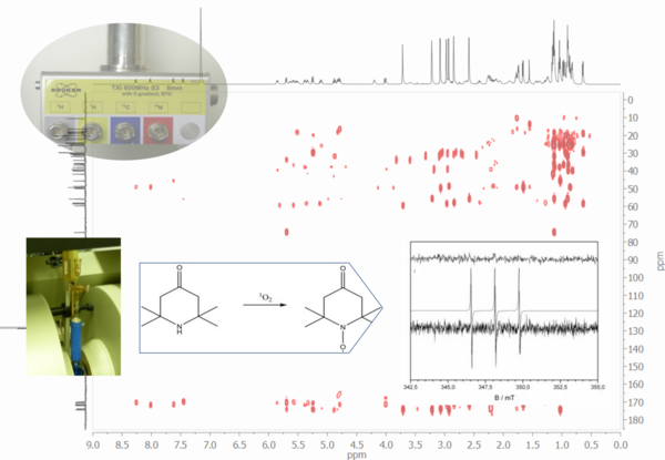 Zusammenstellung analytischer Methoden und Ergebnisse: C,H,N-Probenkopf für NMR und Finger-DEWAR für EPR, Spin-Trap-Reaktion von Singulett-Sauerstoff mit zugehörigem EPR-Spektrum sowie ein 2D-NMR-Spektrum eines Oligopeptids im Hintergrund.