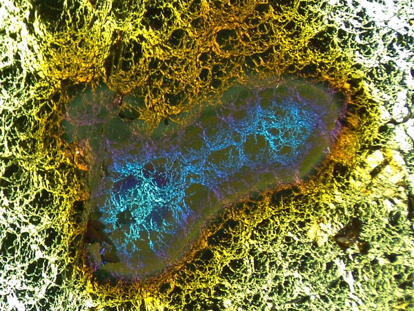 Mit dem Ion-Soft-Landing-Verfahren abgeschiedene B₁₂I₁₂²⁻-Anionen auf einer HOPG-Oberfläche aus hoch orientiertem pyrolytischem Graphit.