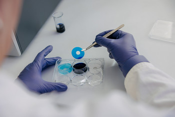 Präparation von Membranproben für Abbauversuche mit Methylenblau.