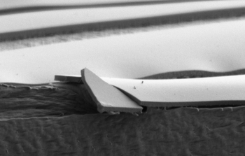 Flexible and transparent ceramic thin film on a polymer substrate. 