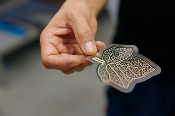 A prototype of a solar film encapsulated in a barrier film.